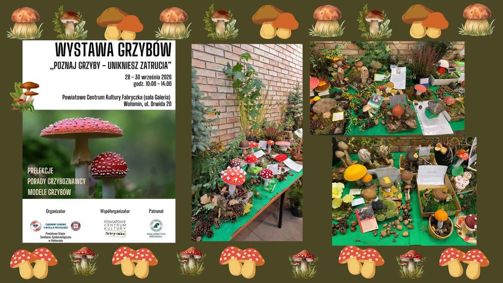 Zdjęcie: Poznaj grzyby – unikniesz zatrucia